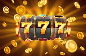 5588bet win