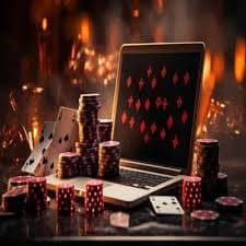 5588bet win