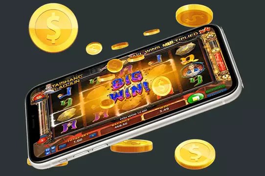5588bet win